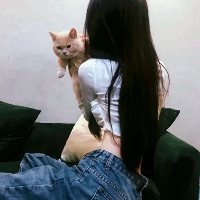 圣殿领唱的幸福指南